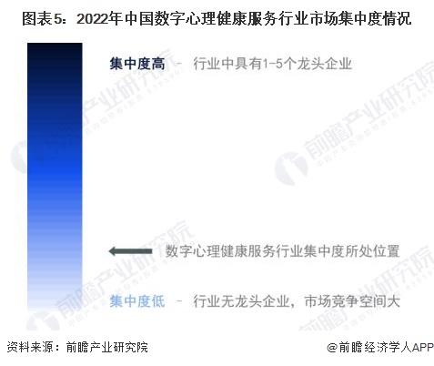 圖表5：2022年中國數字心理健康服務行業市場集中度情況